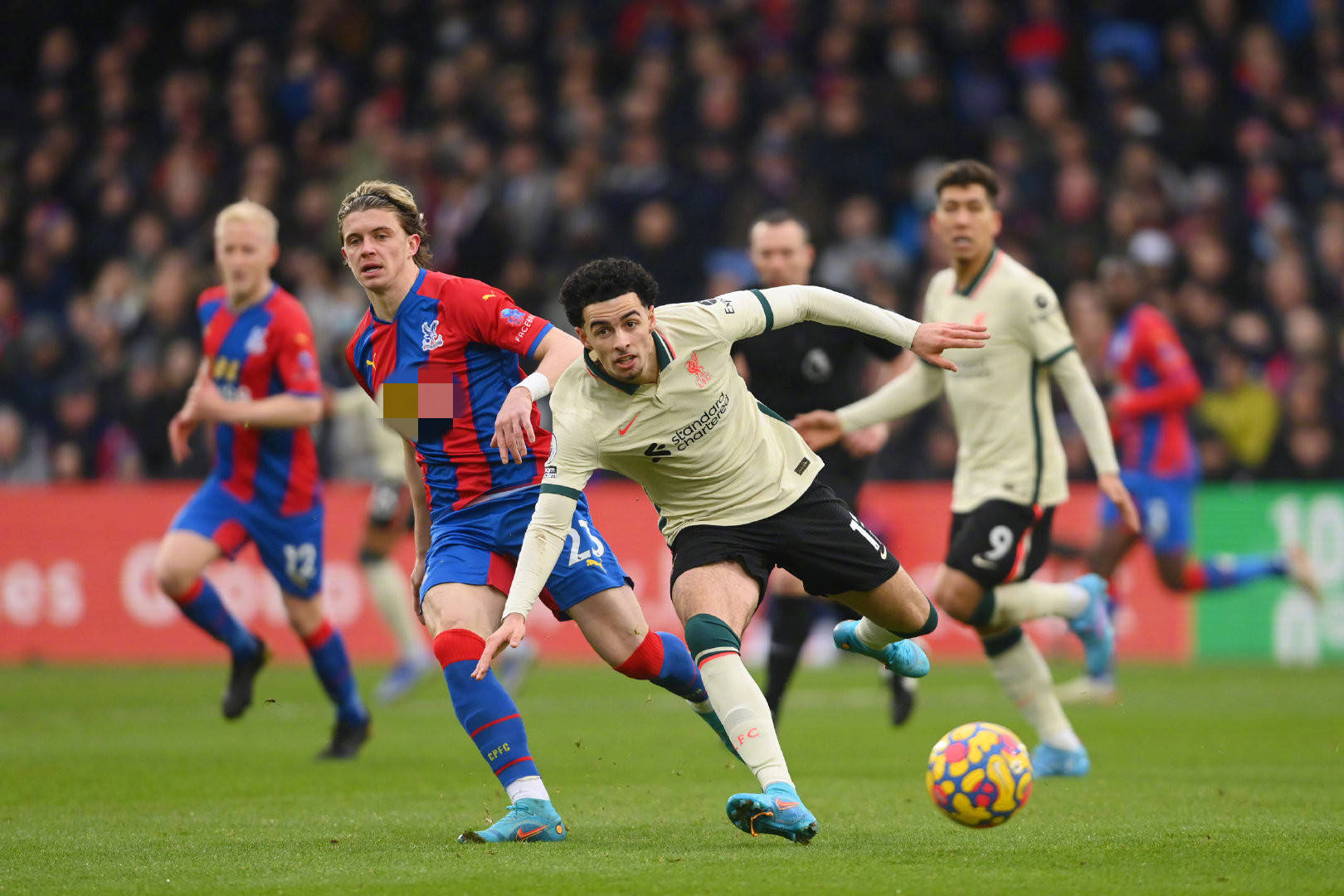 个不起眼却 个不起眼却